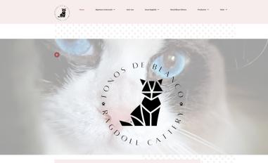 Schermafbeelding van ragdollkittens.be