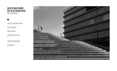 Schermafbeelding van raymondsteenwijk.com
