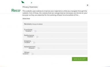 Schermafbeelding van recoverynow.nl