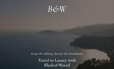 Schermafbeelding van reisorg.webflow.io