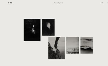 Schermafbeelding van riannetegelaar.com