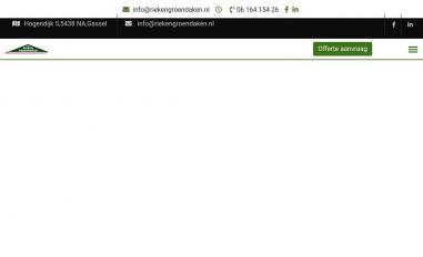 Schermafbeelding van rieken-groendaken.nl