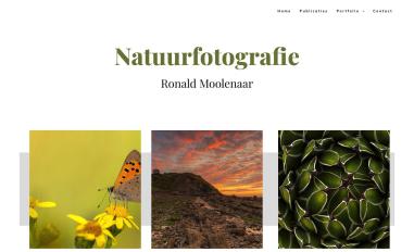 Schermafbeelding van ronaldmoolenaar.nl