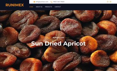 Schermafbeelding van runimex.com