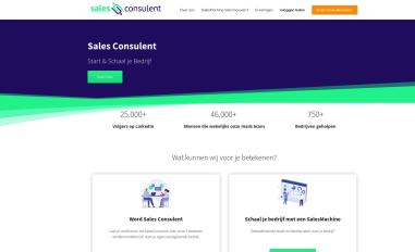 Schermafbeelding van salesconsulent.nl