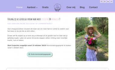 Schermafbeelding van sannedewaele.be