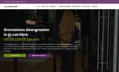 Schermafbeelding van select-excellent-next.vercel.app