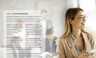 Schermafbeelding van seoranks.nl