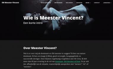 Schermafbeelding van sm-meester.nl