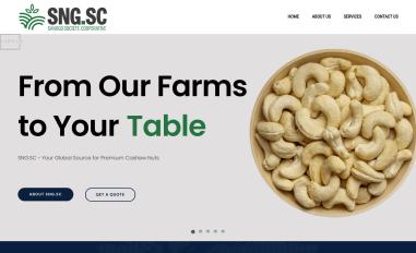 Schermafbeelding van sngsc.com