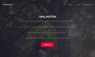 Schermafbeelding van snoepgroen.nl