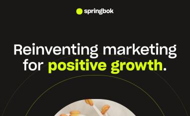 Schermafbeelding van springbokagency.com