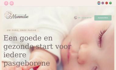 Schermafbeelding van staging.kraamzorgmammaloe.nl