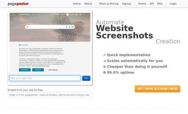 Schermafbeelding van staging.njvisa.com