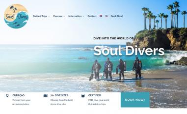 Schermafbeelding van staging2.soul-divers.com