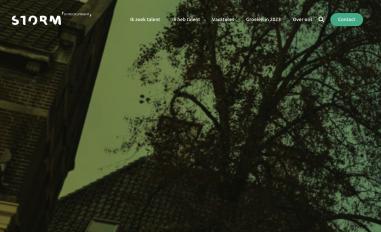 Schermafbeelding van storminrecruitment.nl