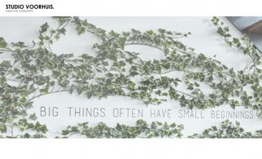 Schermafbeelding van studiovoorhuis.nl