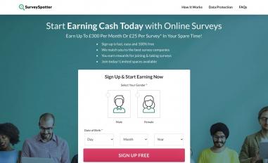 Schermafbeelding van surveyspotter.com