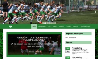 Schermafbeelding van svbrandevoort.nl