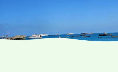 Schermafbeelding van takemetozanzibar.com