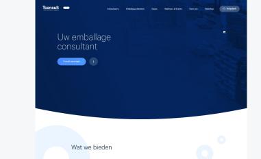 Schermafbeelding van tconsult.nl