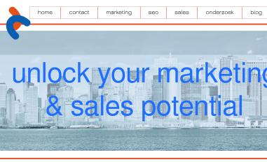 Schermafbeelding van tdcmarketing.nl