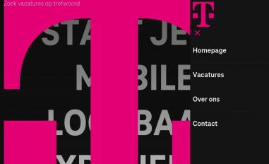 Schermafbeelding van teammagenta.nl