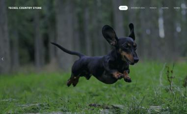 Schermafbeelding van teckelcountrystore.nl