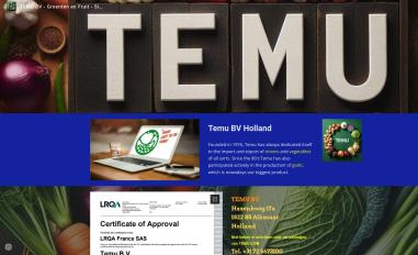 Schermafbeelding van temu.nl