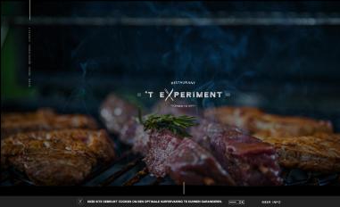 Schermafbeelding van texperiment.be