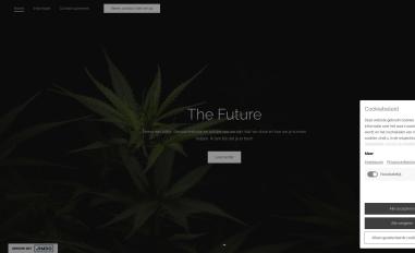 Schermafbeelding van the-future-19.jimdosite.com