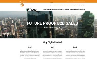 Schermafbeelding van thesocialsellingcompany.com