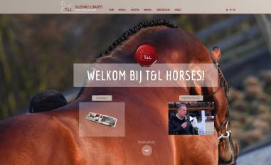 Schermafbeelding van tilleman.be