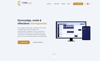 Schermafbeelding van timeking.nl