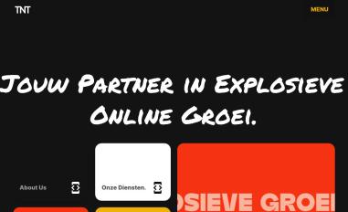 Schermafbeelding van tntmedia.nl