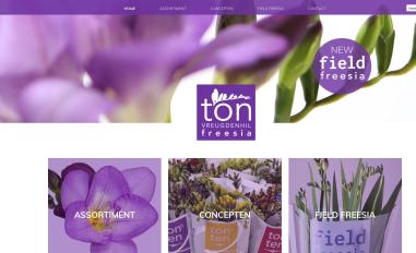 Schermafbeelding van tonvreugdenhil.nl