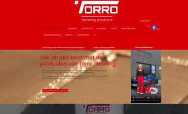 Schermafbeelding van torrocleaning.nl