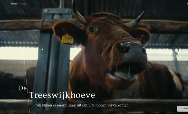 Schermafbeelding van treeswijkhoeve.nl