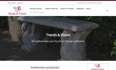 Schermafbeelding van trendsandvision.nl