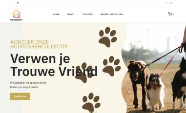 Schermafbeelding van trendsolver.com