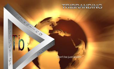 Schermafbeelding van tribranding.nl