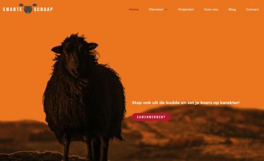 Schermafbeelding van tswarteschaap.nl