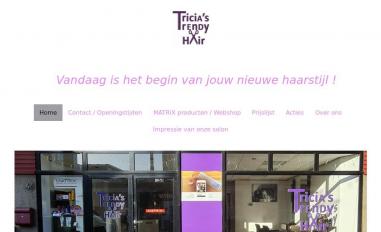 Schermafbeelding van tthair.nl