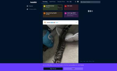 Schermafbeelding van tumblr.com