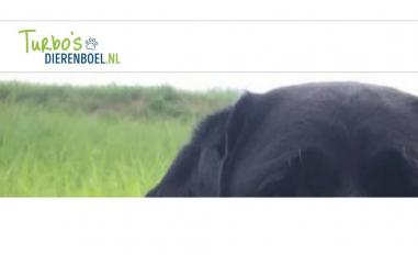 Schermafbeelding van turbosdierenboel.nl