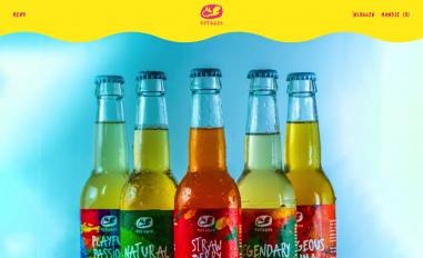 Schermafbeelding van untamedkombucha.nl