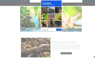 Schermafbeelding van v-ants.com