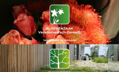 Schermafbeelding van vanallemeersch.be