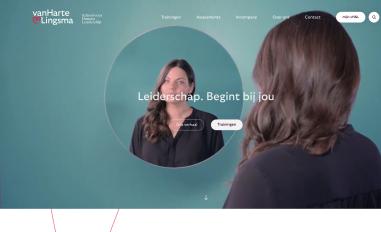 Schermafbeelding van vanhartelingsma.nl