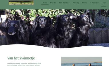 Schermafbeelding van vanhetzwinnetje.nl